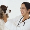 День работников ветеринарной медицины 2022 - 16 поздравлений