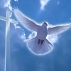 Надвечір’я Богоявлення (Другий Святвечір) 2023 2015 - 55 привітань