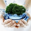 День навколишнього середовища в Україні 2024 2015 - 21 привітань